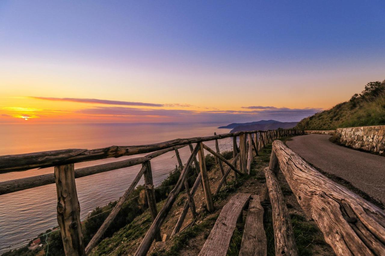 Cilento Bed & Breakfast San Mauro Cilento Luaran gambar