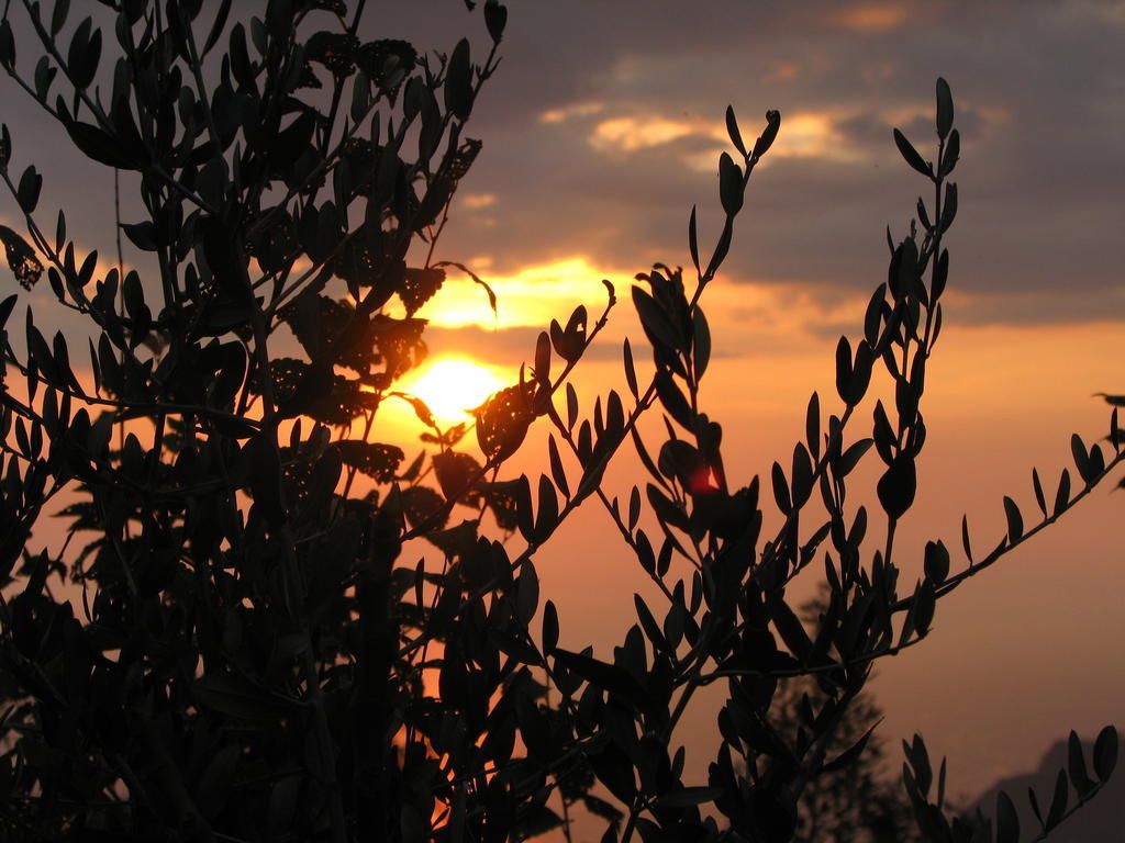 Cilento Bed & Breakfast San Mauro Cilento Luaran gambar