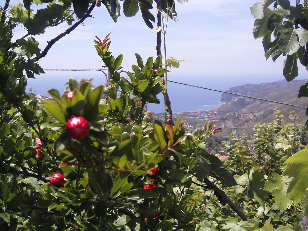 Cilento Bed & Breakfast San Mauro Cilento Luaran gambar